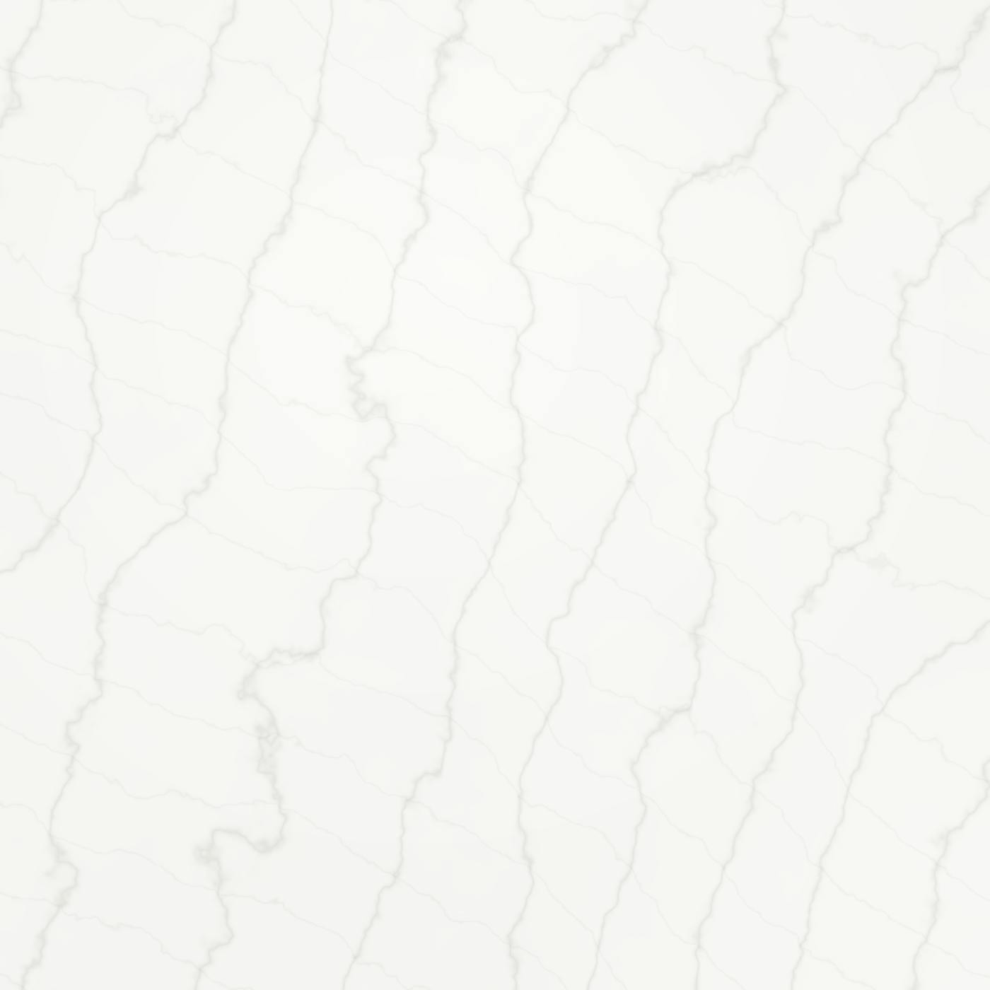 Absolute White