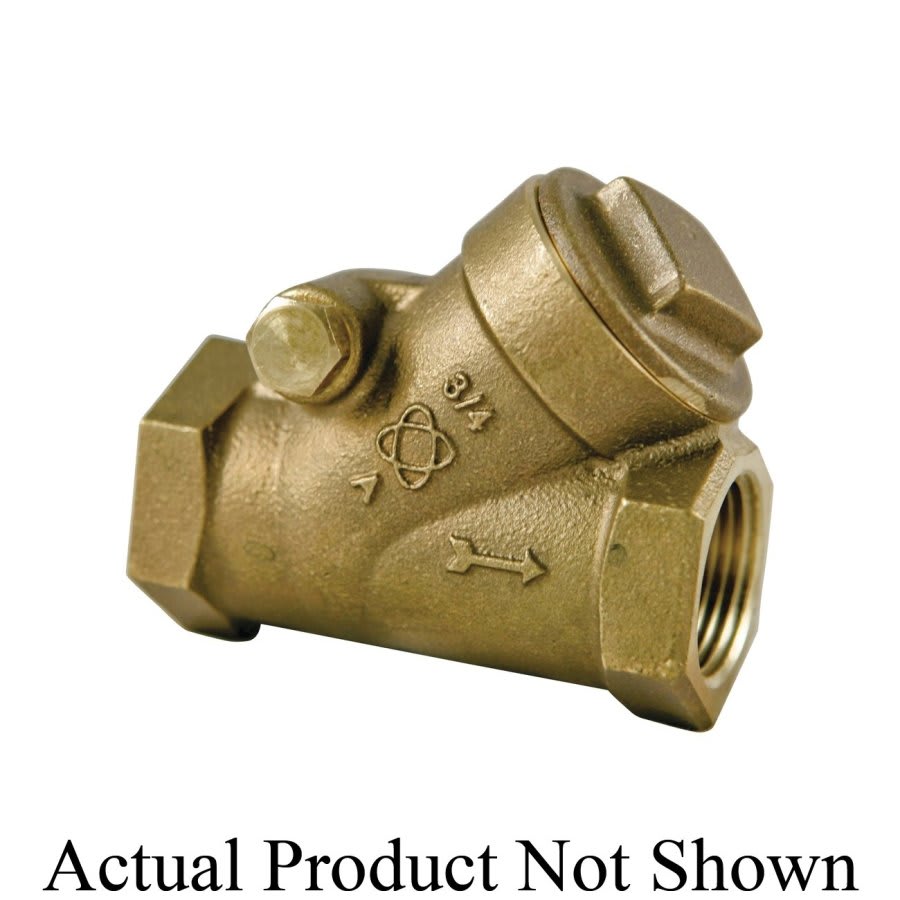 Swing Check Valve, 1 in, FNPT, Bronze