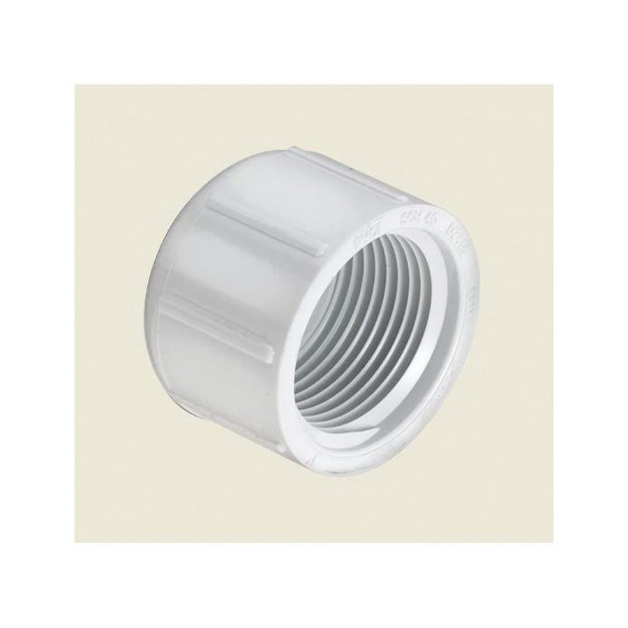Cap, 1 in, FNPT, SCH 40/STD, PVC