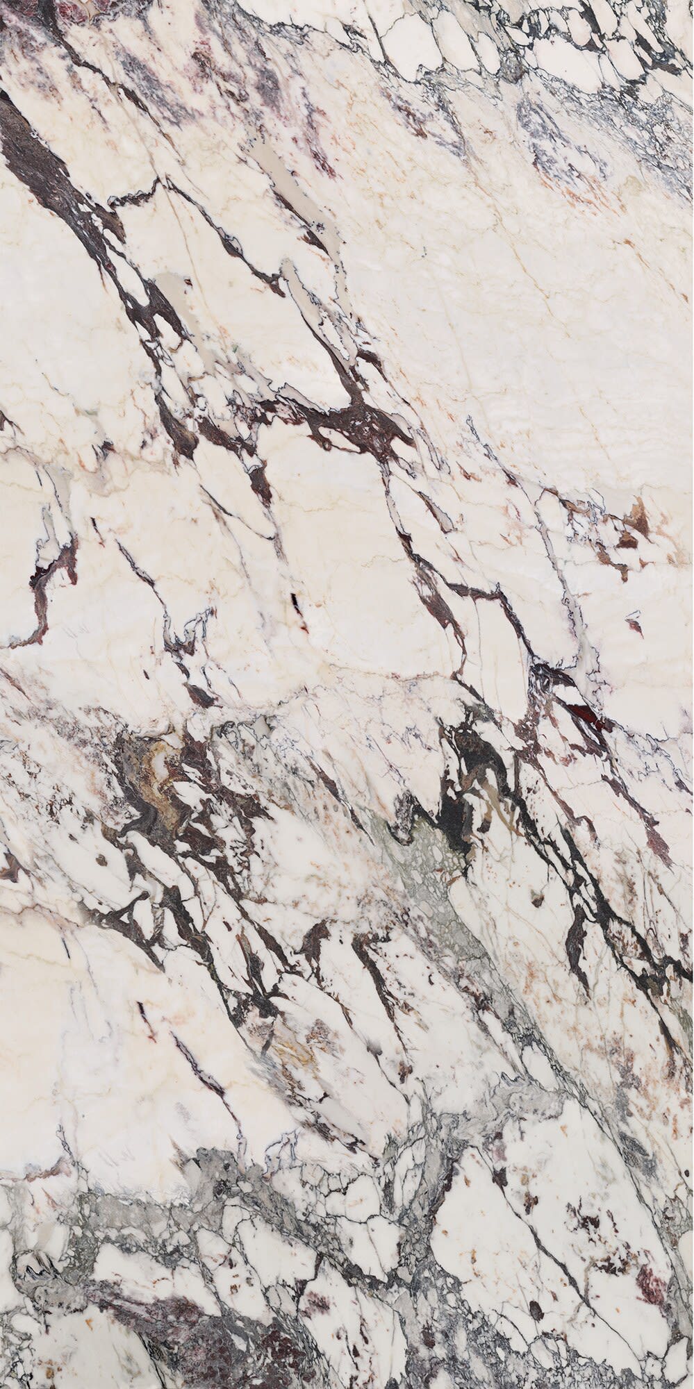 Calacatta Aries