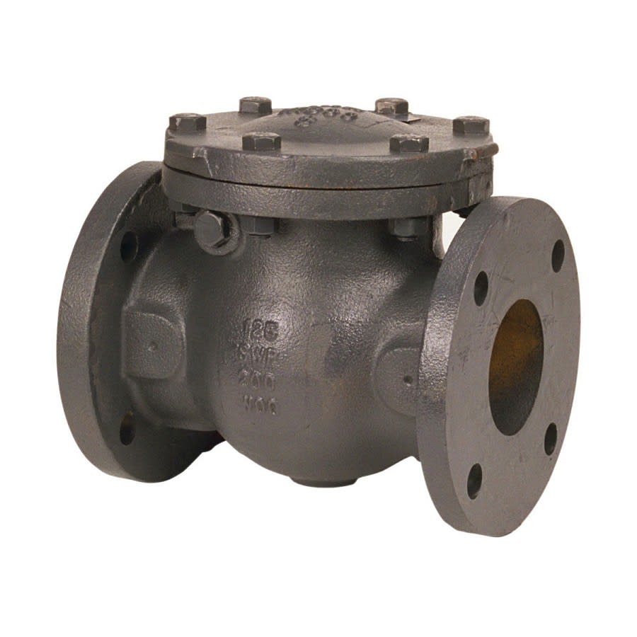 Swing Check Valve, 6 in, Flange, Cast Iron