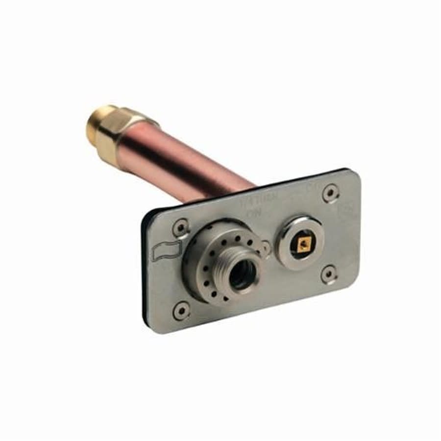 Guardian Dual Check® Wall Hydrant, 1/2 or 3/4 in Inlet, FNPT or MNPT, Nickel Plated