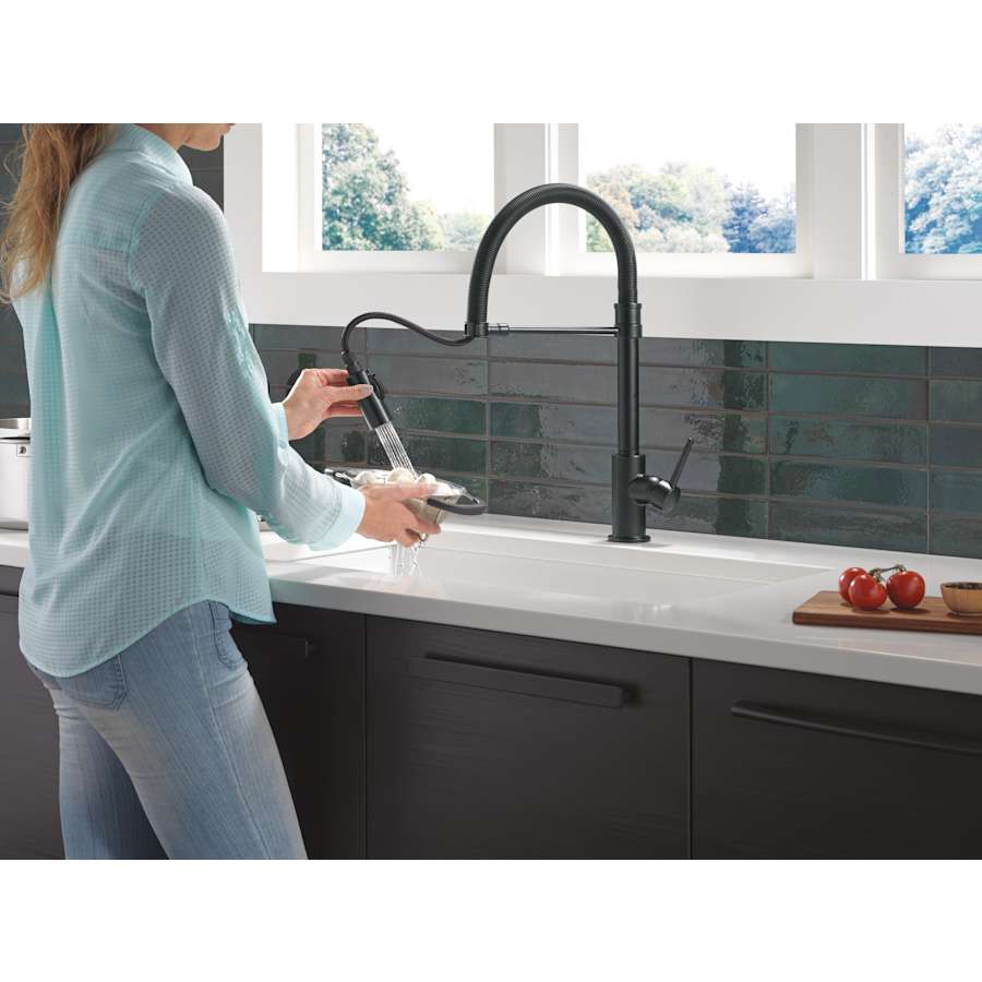 Trinsic 1.8 GPM Single Hole Pre-Rinse Pull Down Kitchen Faucet