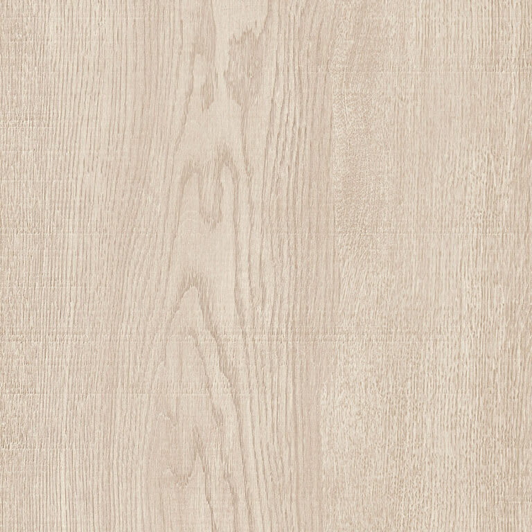Aspen Tortora