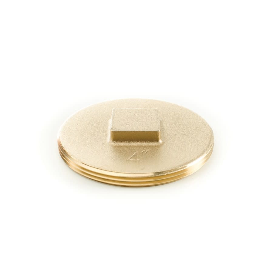 Raised Head Cleanout Plug, 4 in, Brass