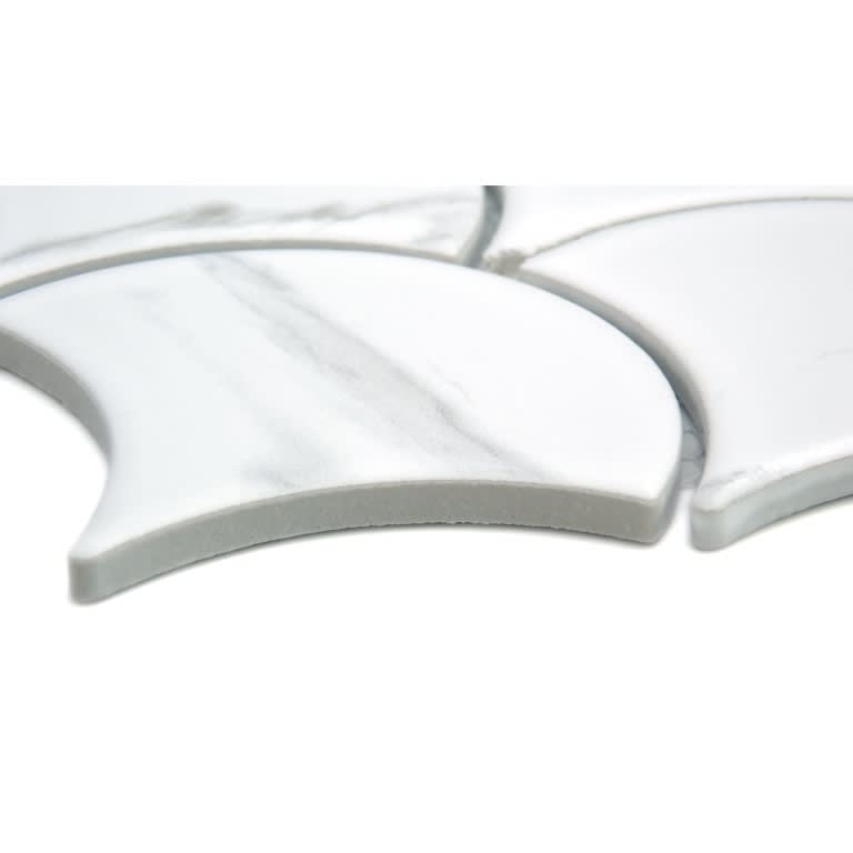ELEGAN CALACATA MT SHELL/MO