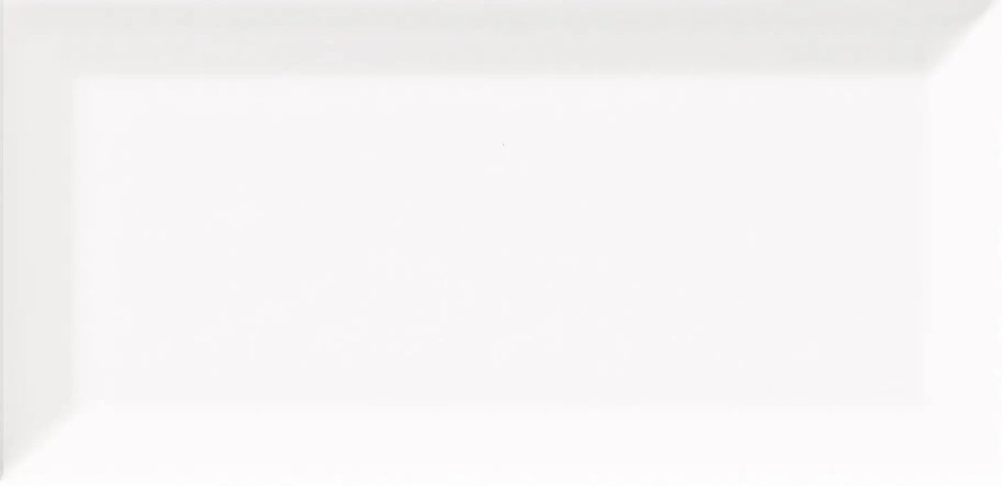 BG SNOW WHITE 3X6 BEVELED