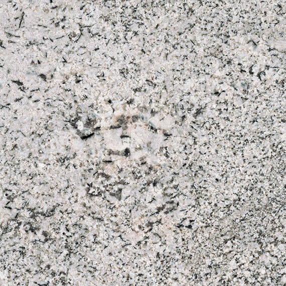 Saddle White