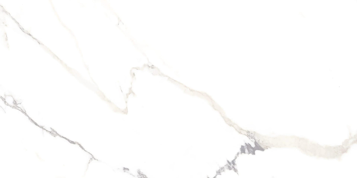 24X48 R POLARIS FD WHITE