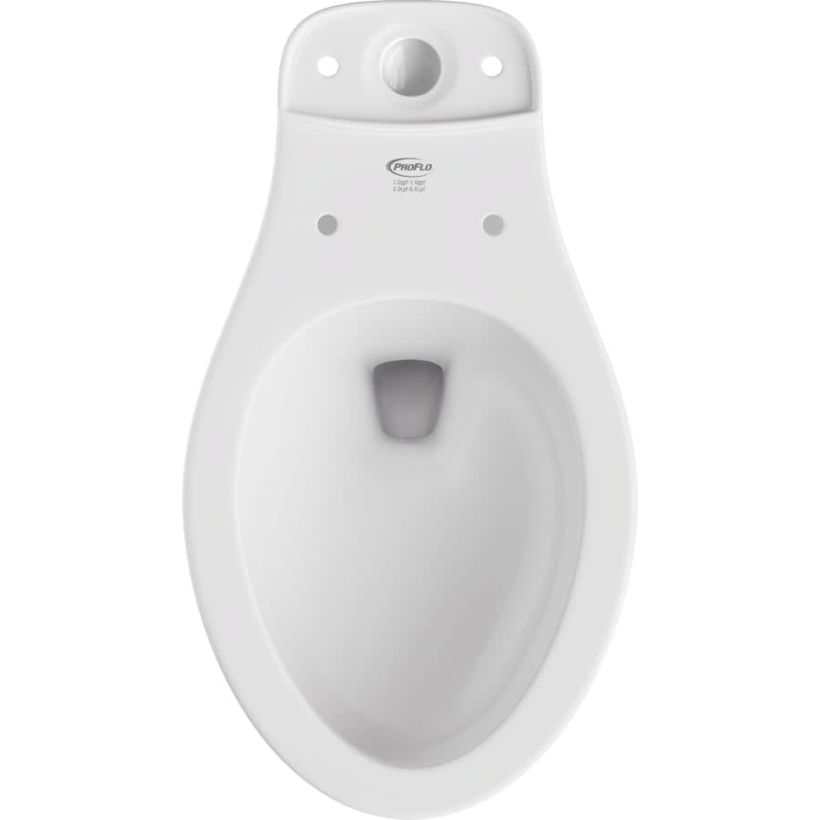 Jerritt Elongated Toilet Bowl Only