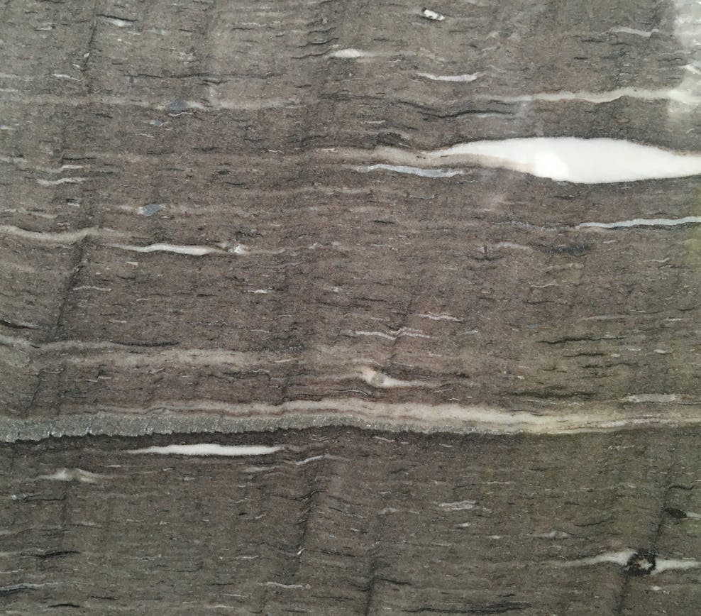 Cygnus Vein Cut