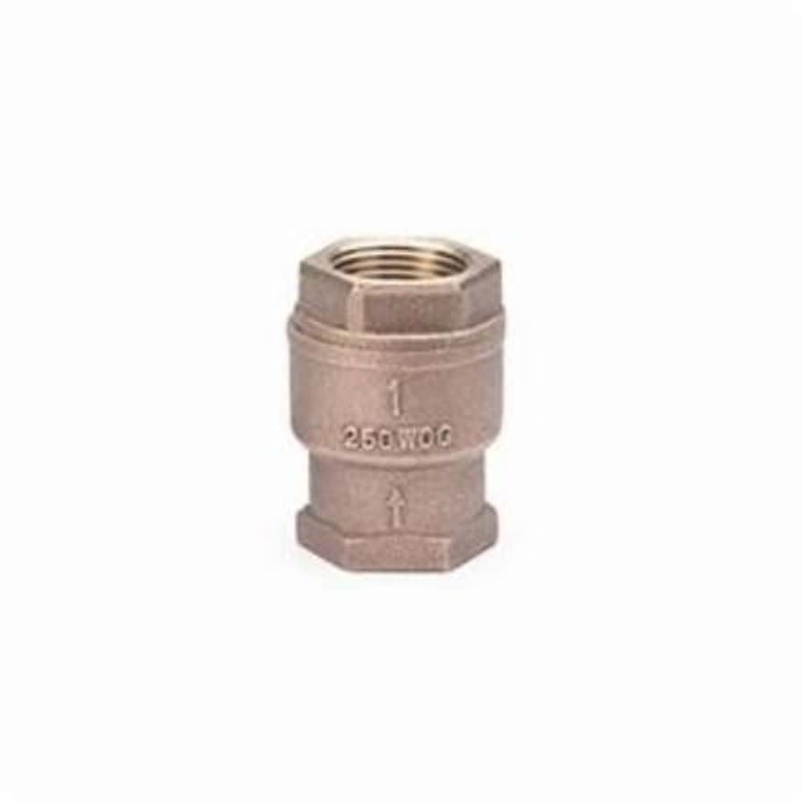 Spring Check Valve, 2 in, FNPT, Bronze