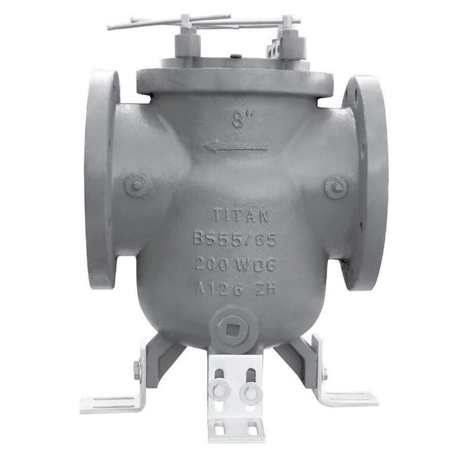 Strainer, 2-1/2 in, Flange, Cast Iron