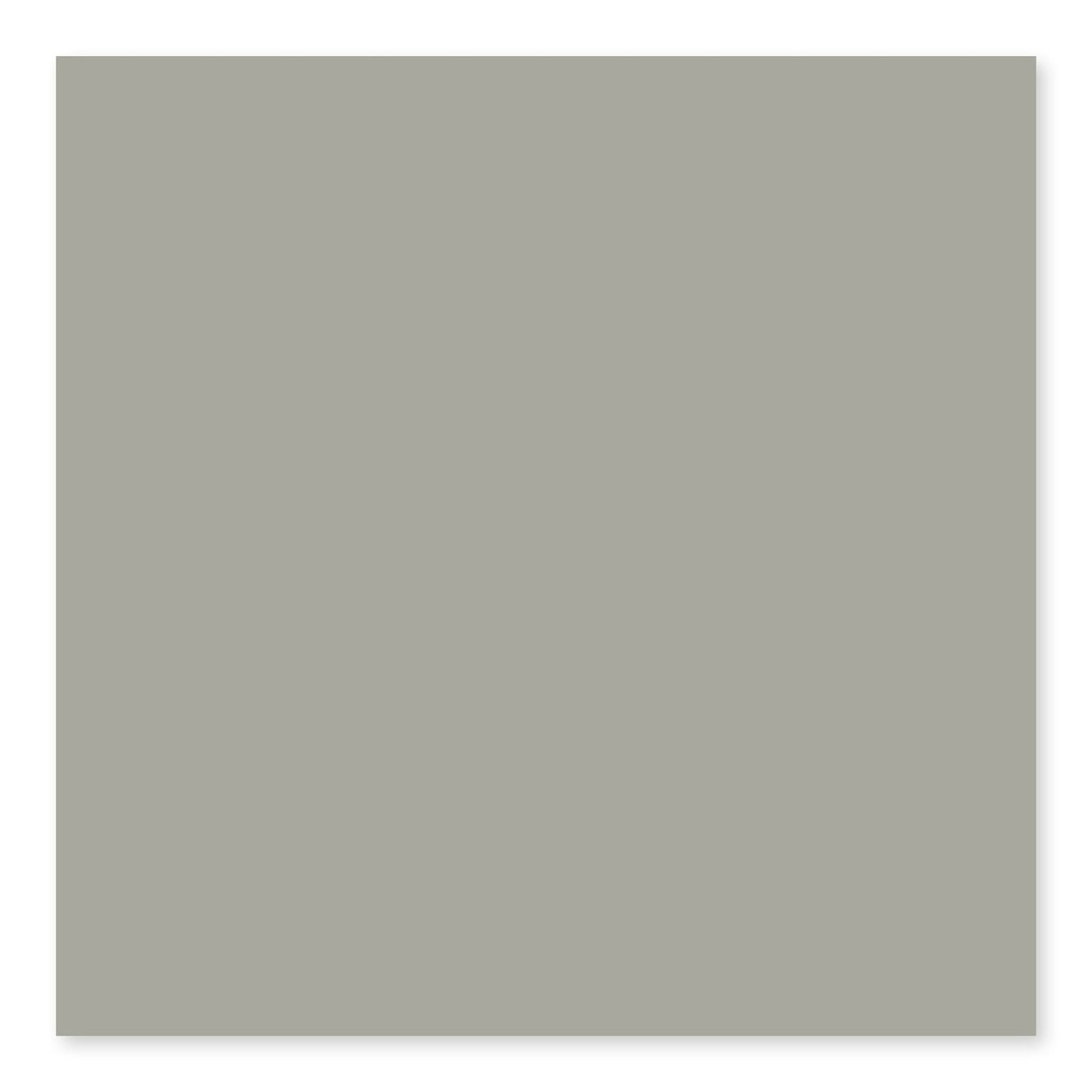 MG TAUPE 3X6