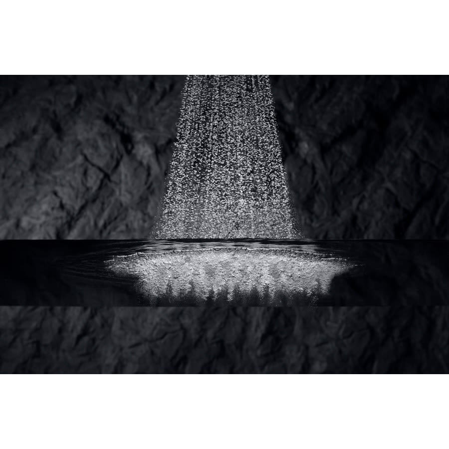 Flipside Multi-Function Hand Shower with Flipstream Technology