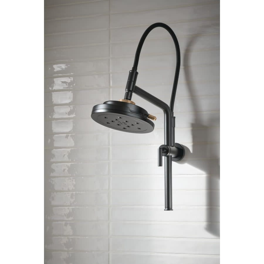Litze 1.75 GPM Multi Function Shower Head