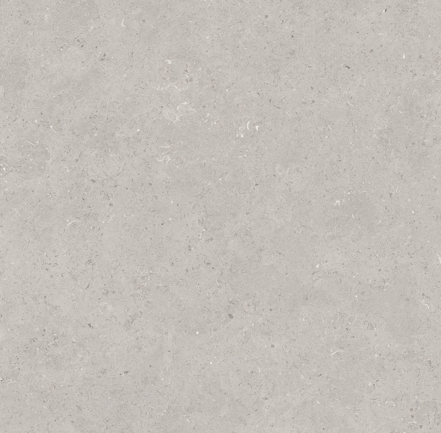 LIMESTONE GREY 24X48
