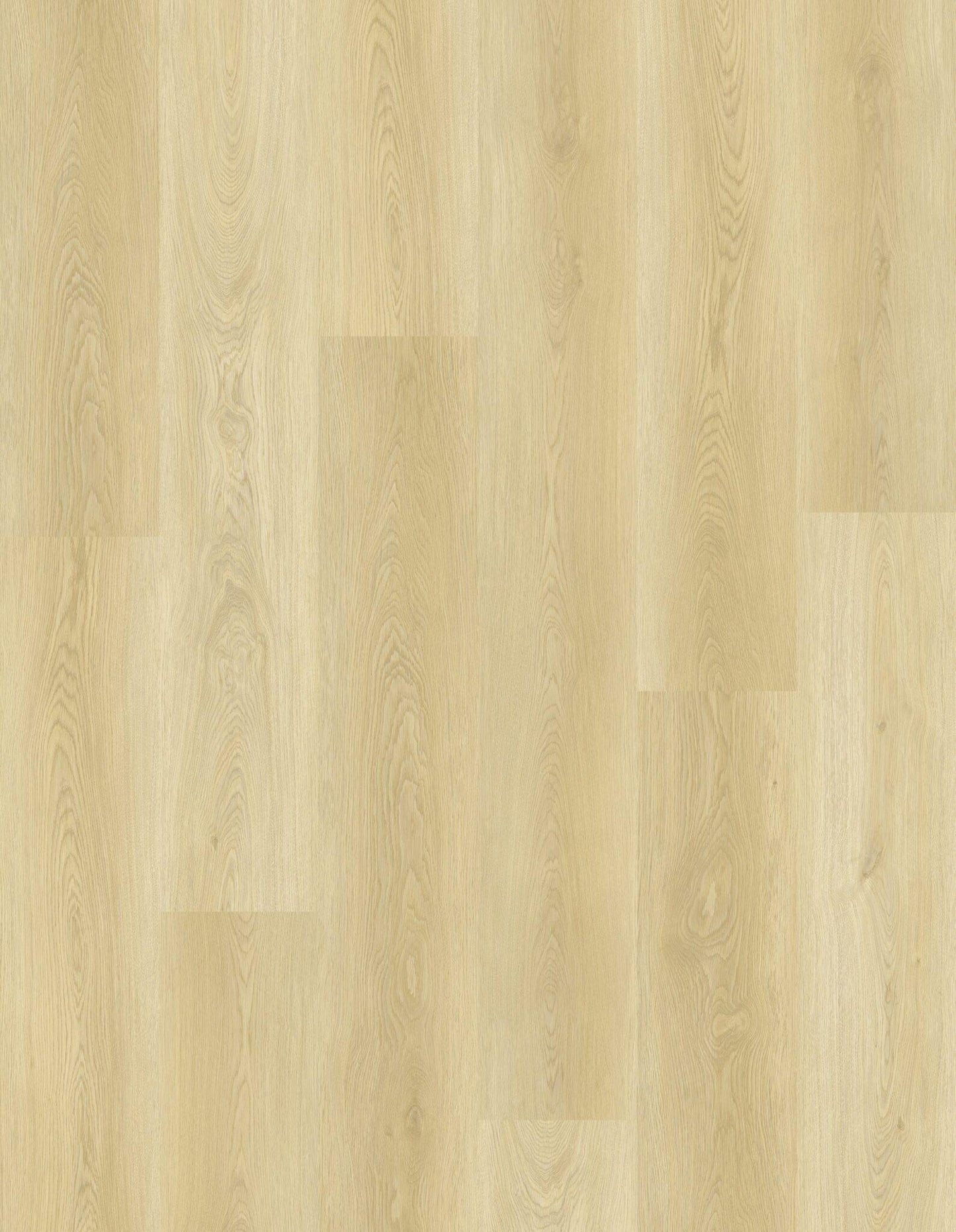 Sahara Sandstone