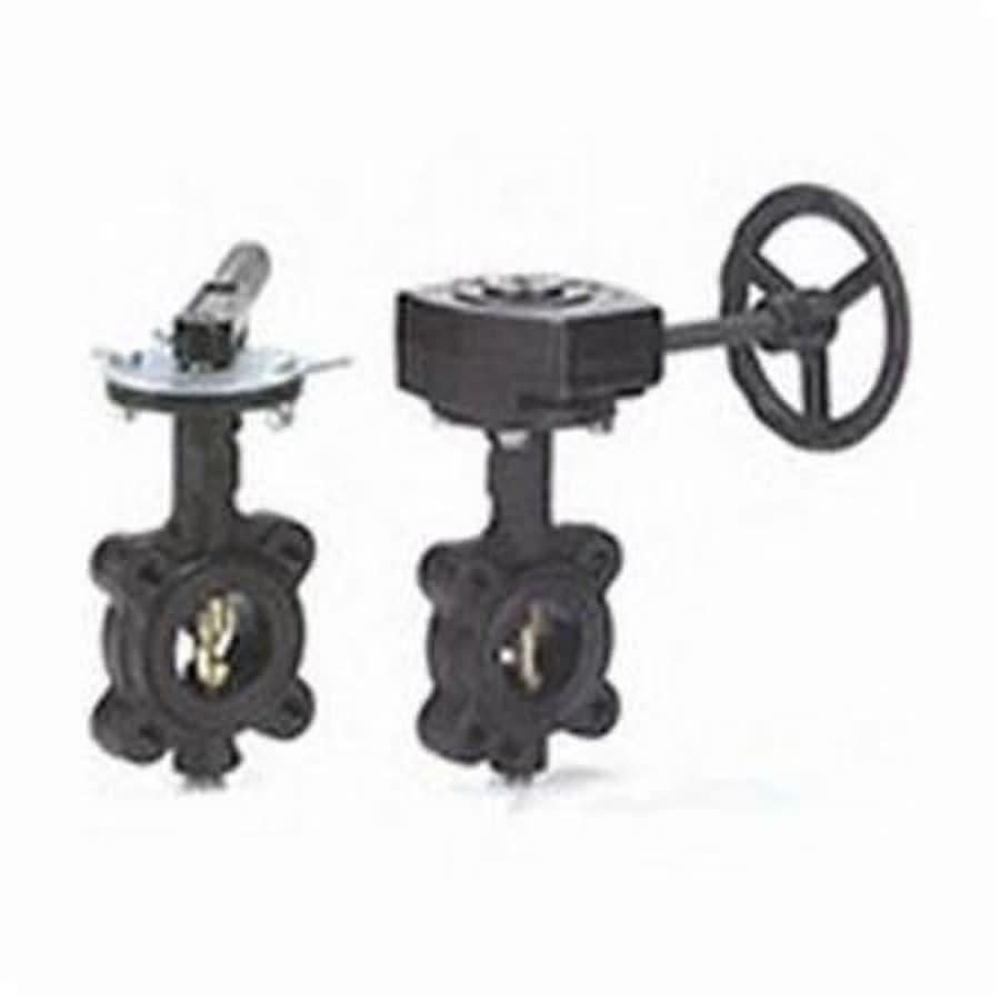 Lug Style Butterfly Valve, Lever Handle, 2-1/2 in, Flange, Ductile Iron