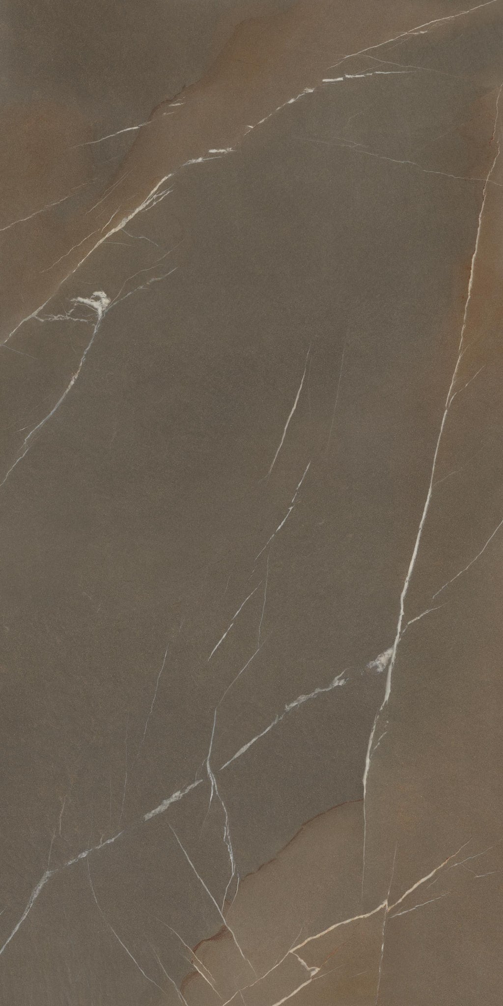 Pietra Piasentina Taupe Fiammato