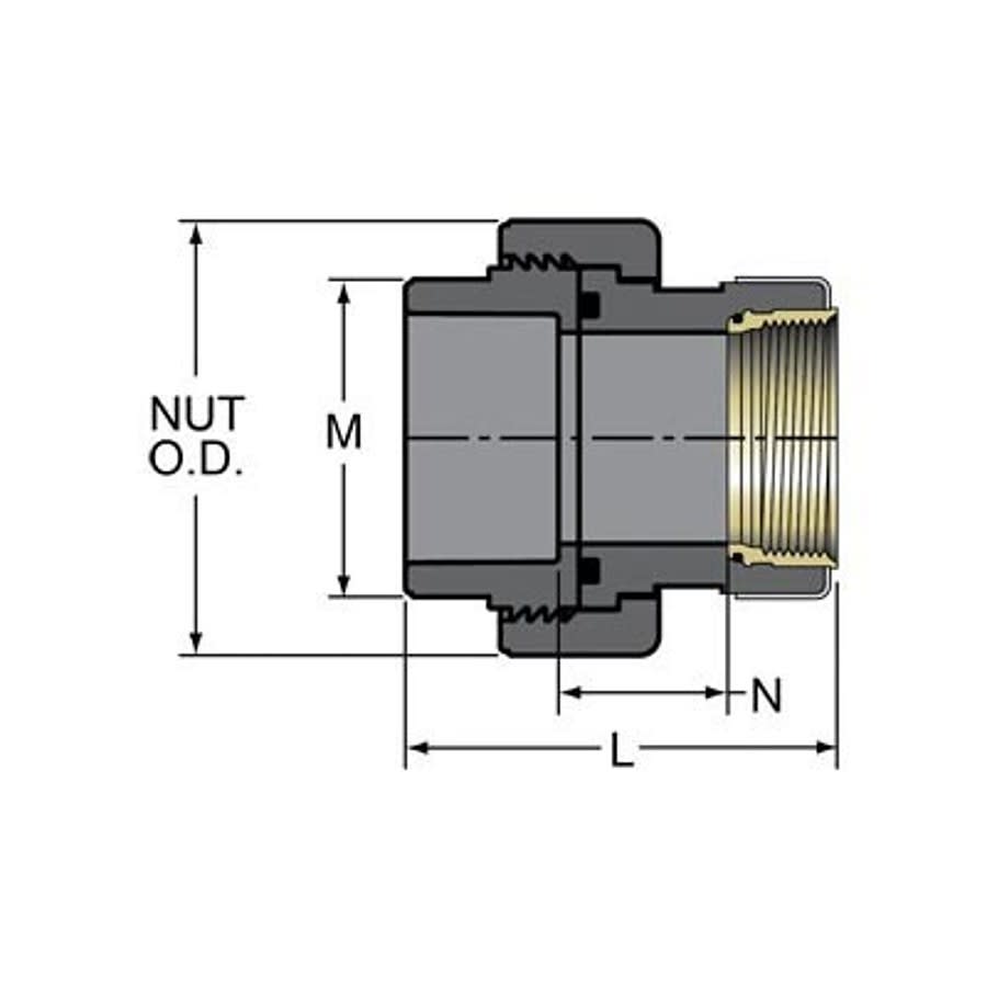 Tank Adapter, 1-1/4 in, Socket x FNPT, SCH 80/XH, PVC