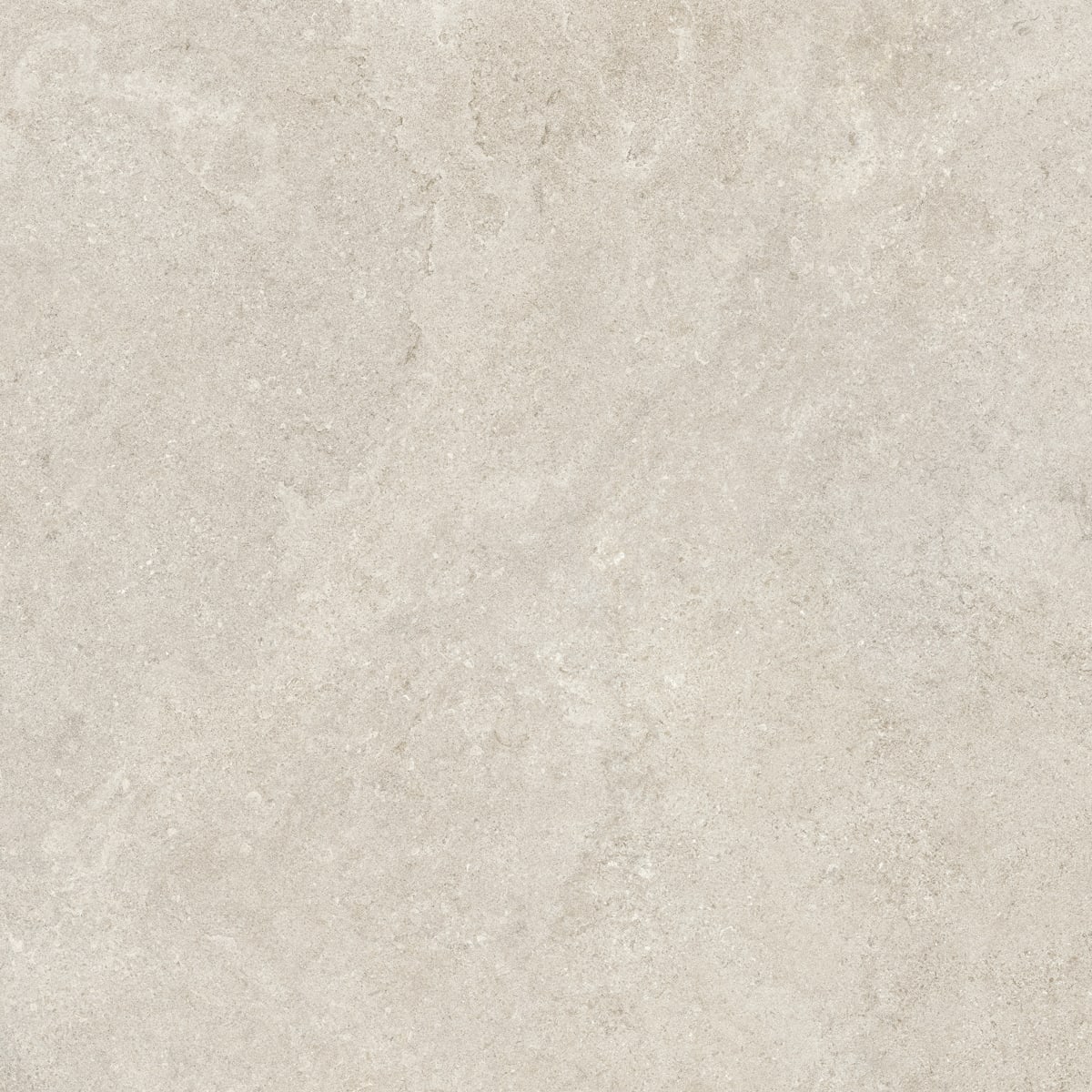 48X48 R SERENA CROSSCUT BONE