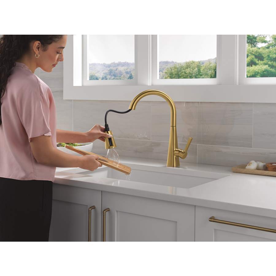 Lenta Single-Handle Pull-Down Kitchen Faucet with ShieldSpray