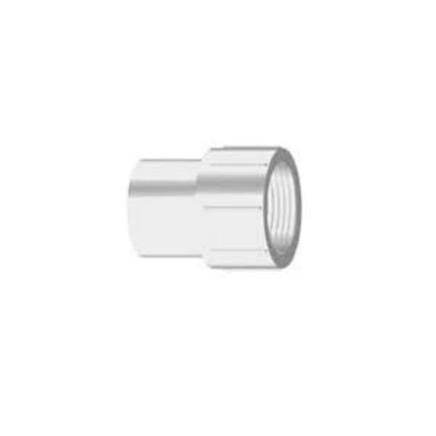 Female Adapter, 3/4 in, Spigot x FNPT, SCH 40/STD, PVC