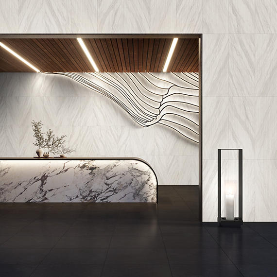 Cohesion Black Rectangle 24X48 Polished