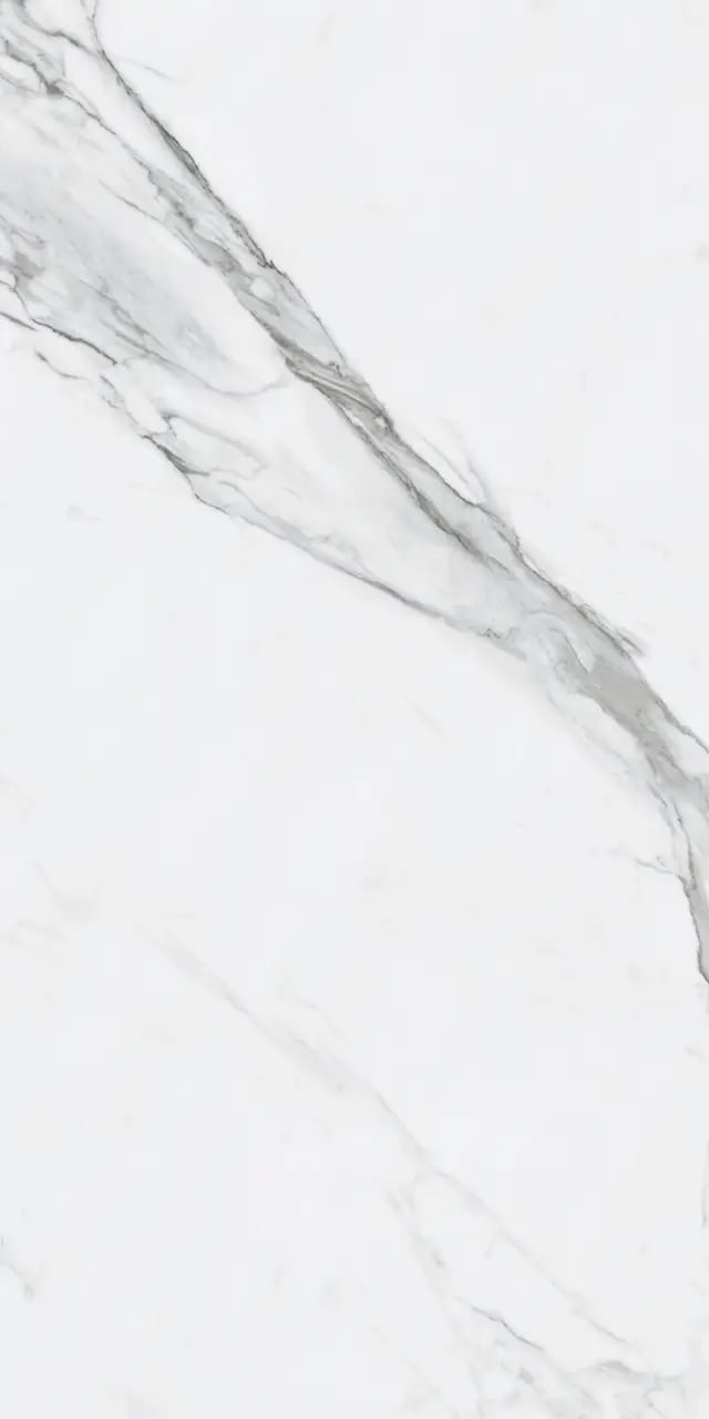 BIANCO VENATINO PO 24X48 R