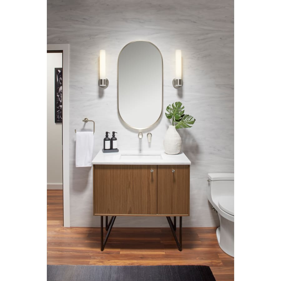 Essential 20-1/16" W x 40-1/16" H Modern Oval Framed Bathroom Wall Mirror