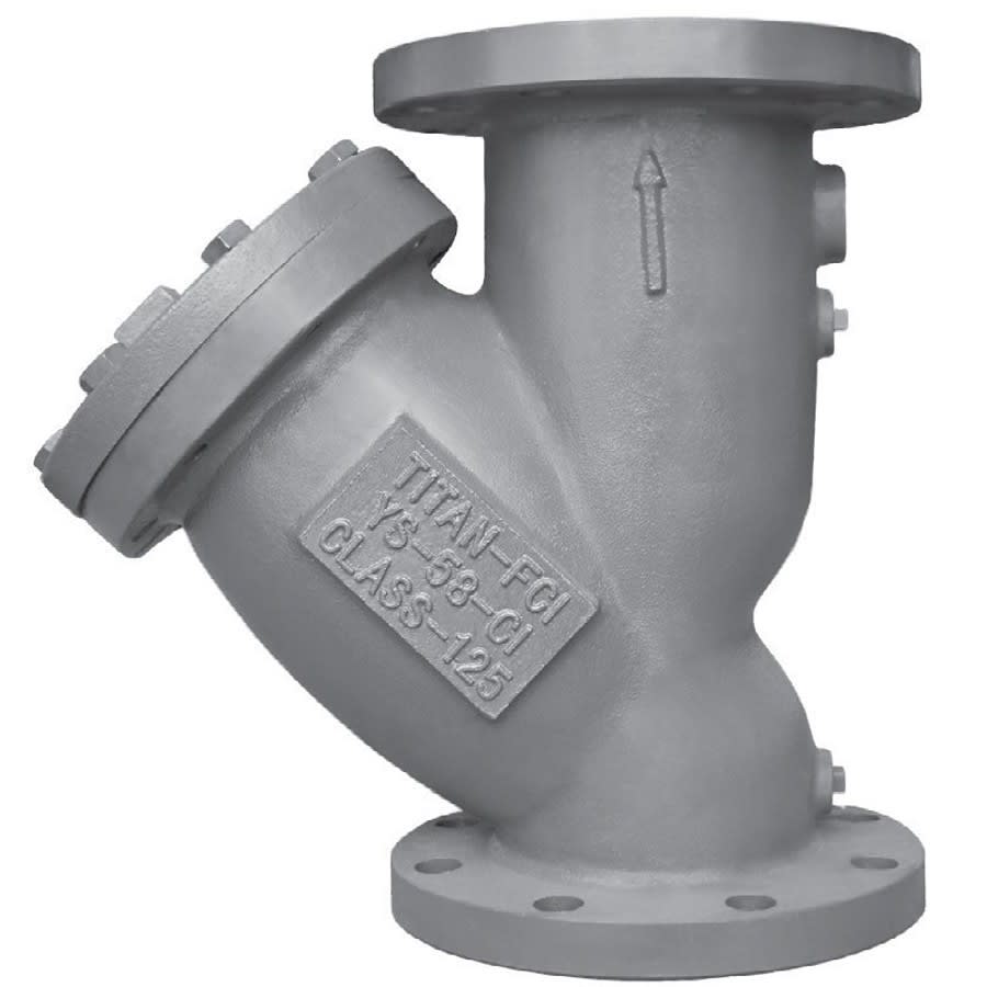 Strainer, 10 in, Flange, Cast Iron