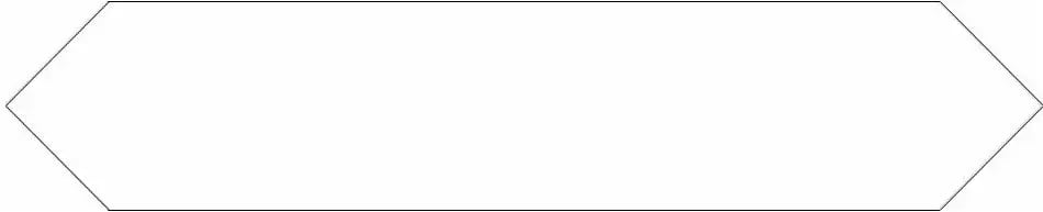 BLOCK ARROW BLANCO MATTE 2X10