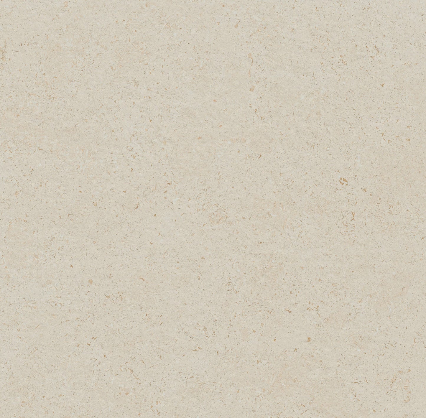 LIMESTONE BEIGE 24X48