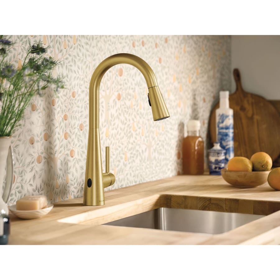 Sleek 1.5 GPM Single Hole Pull Down Kitchen Faucet with MotionSense :-)
