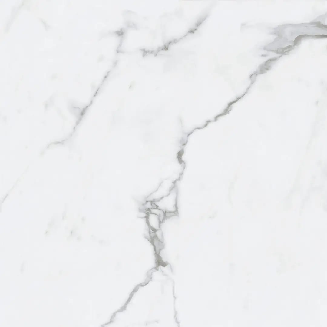 BIANCO VENATINO PO 24X24 R