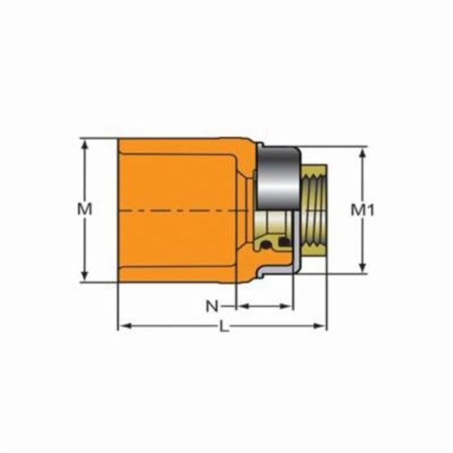 FlameGuard® TorqueSafe™ Adapter, 1 x 1/2 in, Socket x Brass FNPT, CPVC