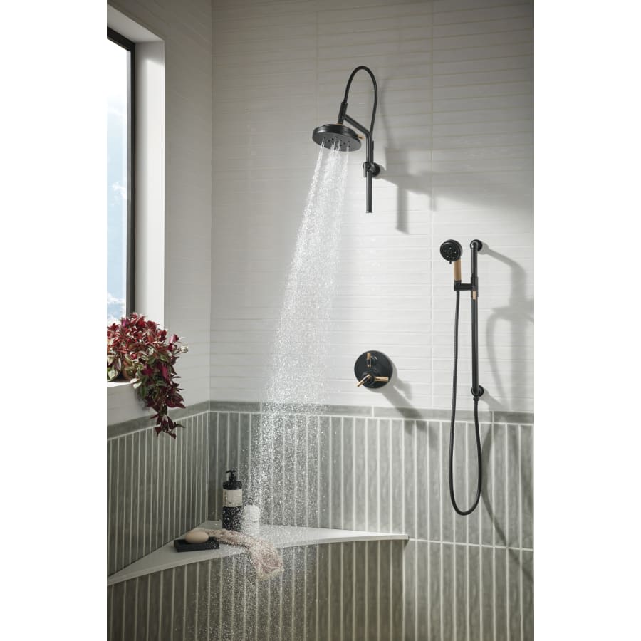 Litze 1.75 GPM Multi Function Shower Head