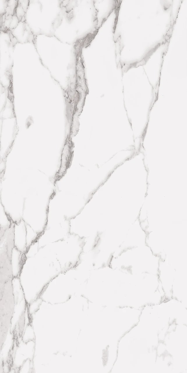 STATUARY WHITE 24X48 R UP
