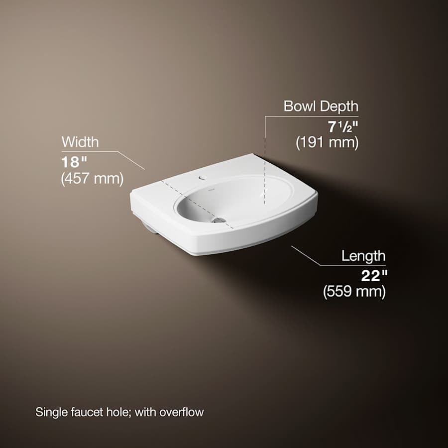 Pinoir 18" Wall Mounted Bathroom Sink with 1 Hole Drilled and Overflow