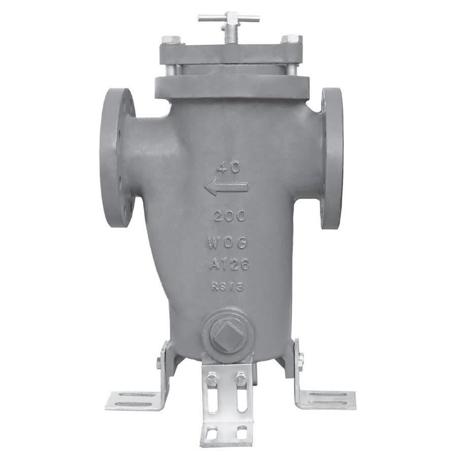 Strainer, 2 in, Flange, Cast Iron