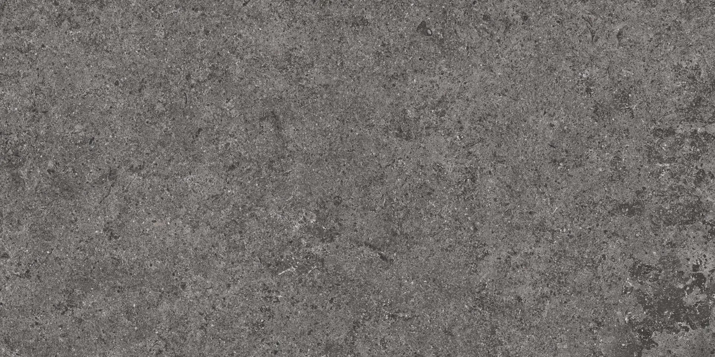 12X24 BASALT FD GRAPHITE