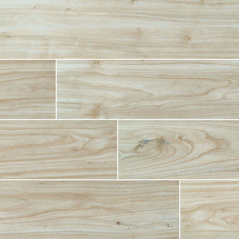 Catalina Maple