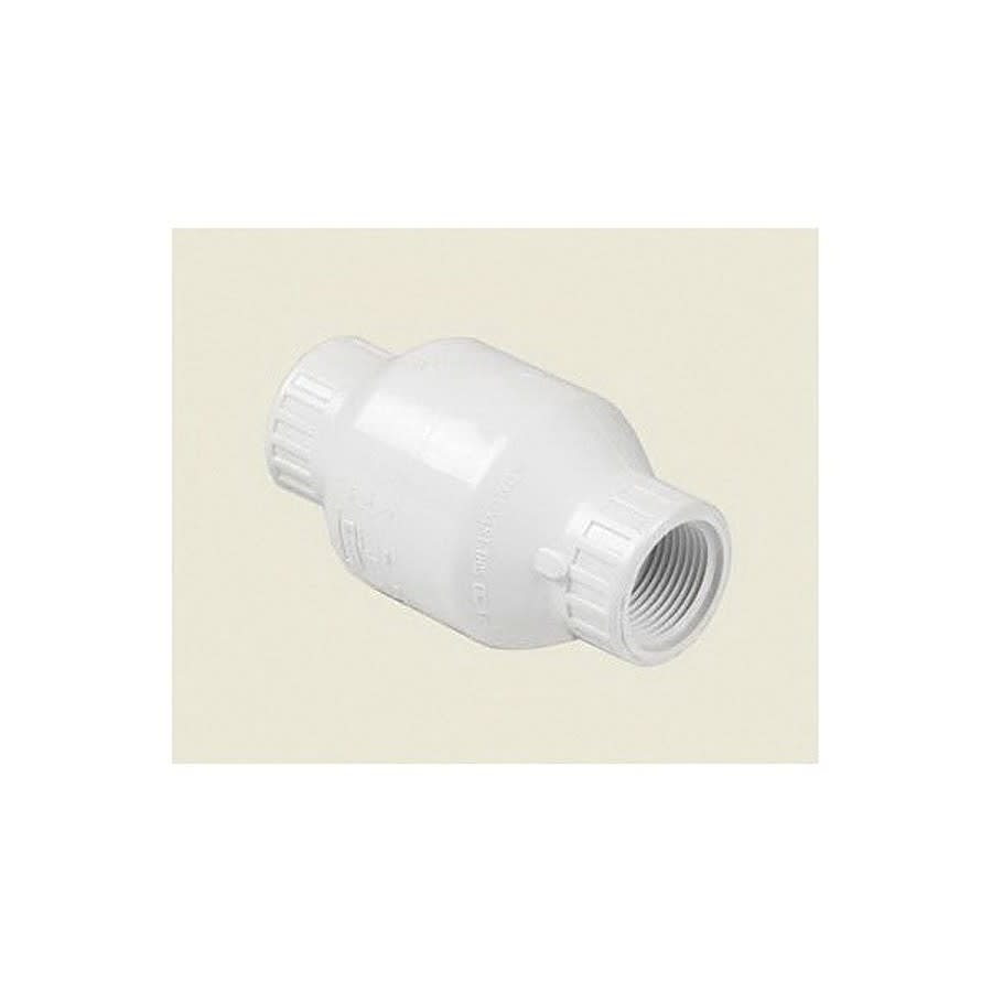 Swing Check Valve, 1 in, FNPT, PVC
