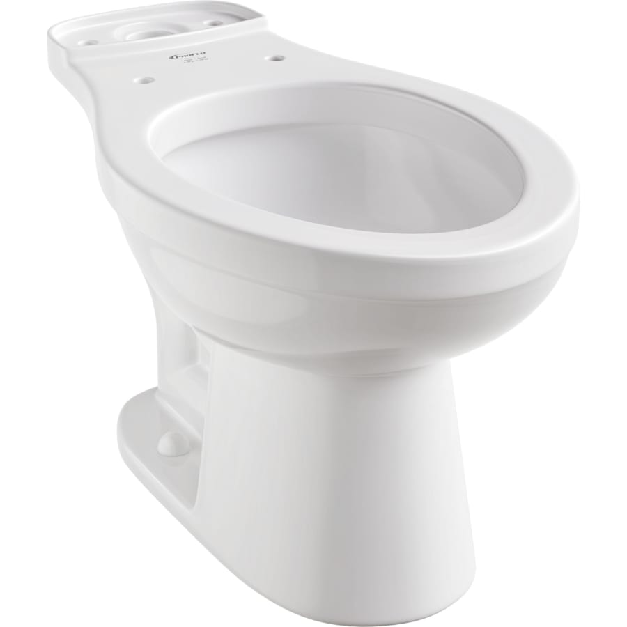 Jerritt Elongated Toilet Bowl Only