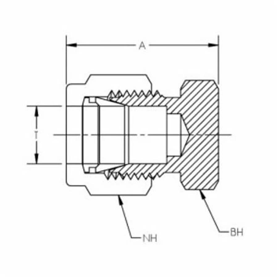 Cap, 1/2 in, Comp, 316/316L Stainless Steel
