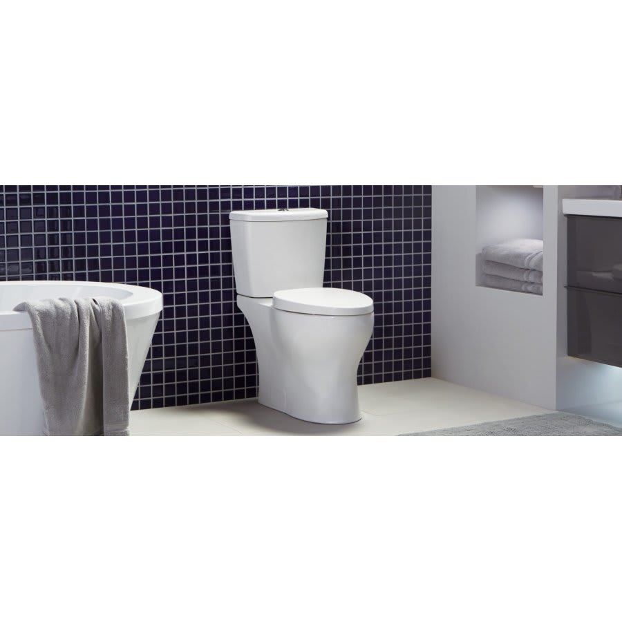 Nano® Toilet Bowl, Floor Mount, 12 in Rough, ADA, Elongated, White