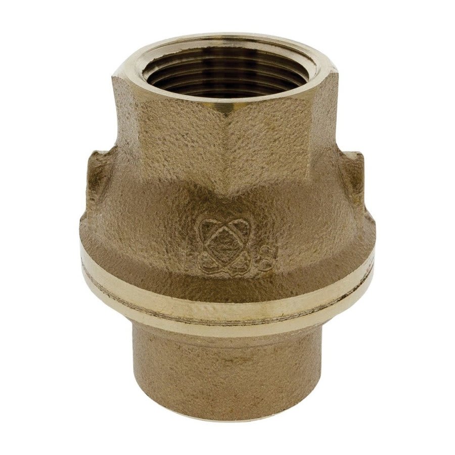 Ring Check® Spring Check Valve, 1-1/4 in, FNPT, Bronze