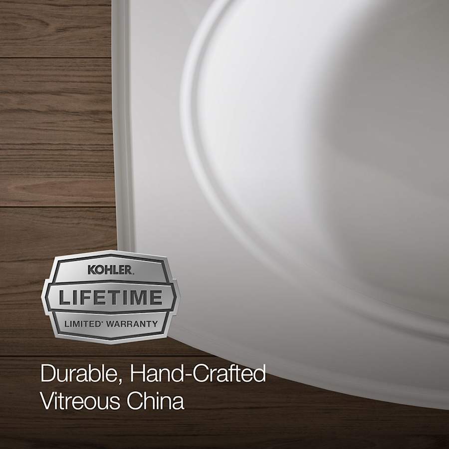 Pinoir 18" Wall Mounted Bathroom Sink with 3 Holes Drilled and Overflow