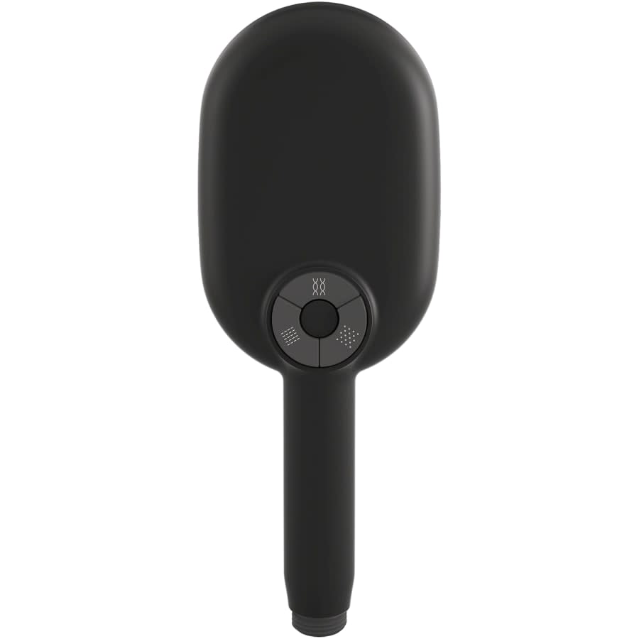 Statement 1.75 GPM Multi Function Hand Shower with MasterClean Sprayface and Katalyst Air Induction Technology